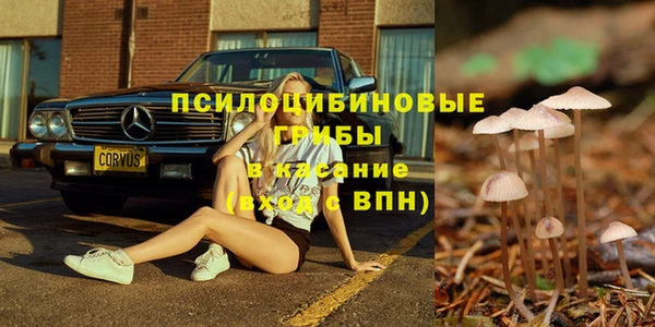apvp Абдулино
