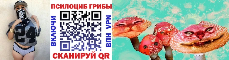 наркота  Торжок  Галлюциногенные грибы Cubensis 